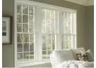 Window Company in Mokena