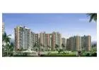 Check out 2, 3 & 4 BHK flats in Techzone 4, Noida Extension, starting from ₹88 Lakh – Amrapali La Re