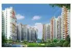 View 2BHK Apartment in Amrapali Spring Meadows in Noida Extension