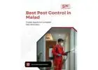 Choose the Best Pest Control in Malad for Complete Protection
