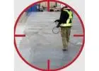 Pest Control Campbelltown | Bug Free Pest Control