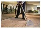 Bring Your Carpets Back to Life with Professional Cleaning in Mount Waverley