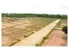 Plot in Noida – Buy excellent land in Noida