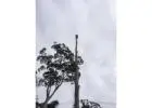 Tree Dismantling Sydney - Ben's Tree And Garden Services