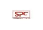 Get Reliable Pest Control at Affordable Prices in Mumbai