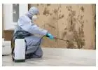 Simpsonville 24 Hour Emergency Repair | Water, Fire & Mold