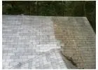 Residential Roof Cleaning Services