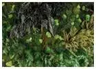 Mijardinvertical.es