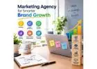 Lafayette Marketing Agency for Smarter Brand Growth
