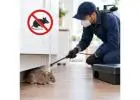 Mice Exterminator Lafayette, IN: Rodent Control Tips